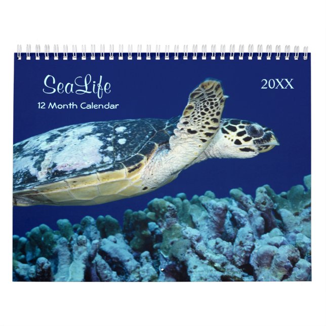 Calendário de 2021 para a Vida Marinha dos Peixes  (Capa)