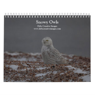 Calendário de 2022 Snowy Owl
