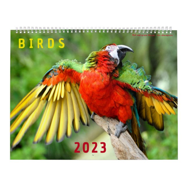 Calendário de 2023 de fotos de várias aves (Capa)