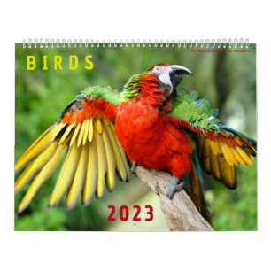 Calendário de 2023 de fotos de várias aves