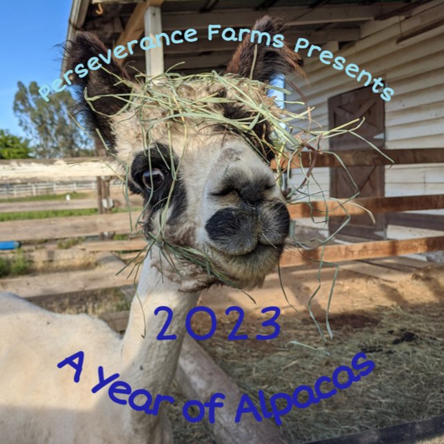 Calendário de 2023 - Um Ano de Alpacas (Criador carregado)