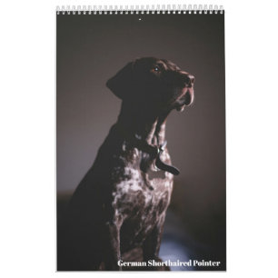 Calendário de 2024 do Pointer de Pelo Curto Alemão