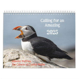 Calendário de 2025 do Atlantic Puffins