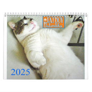 CALENDÁRIO DE 2025 DO FATBOY BABUSHKA
