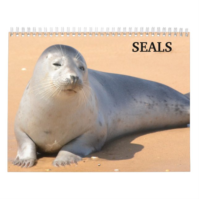 Calendário de 2025 dos selos de leões marinhos (Capa)