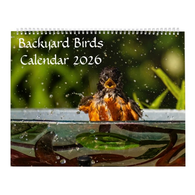 Calendário de 2025 Para Aves (Capa)