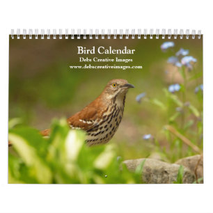 Calendário de 2026 Aves de Muitas Penas