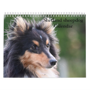 Calendário de 2027 do Cão de Pastoreio de Shetland