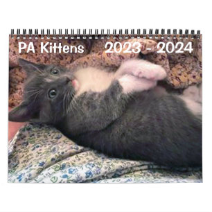 Calendário de 2 Anos do PA Kittens