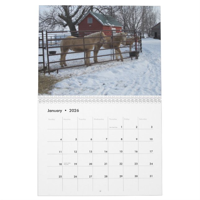 Calendário de ACDHA 2015 (Jan 2026)