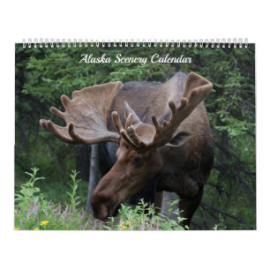 Calendário de Alaska - disponível por qualquer