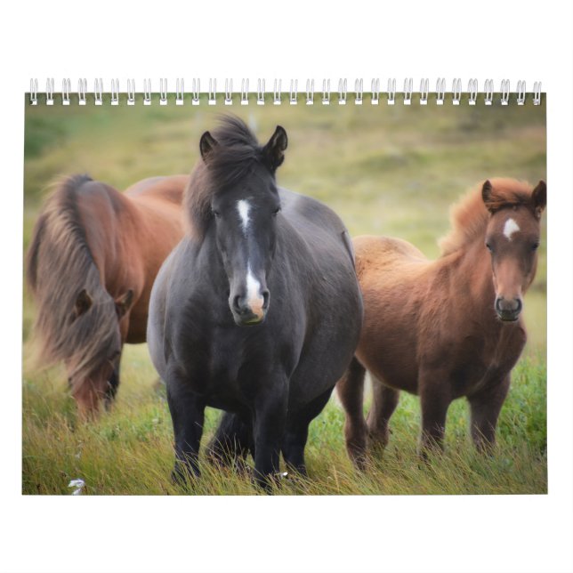 Calendário de Amantes de Cavalo (Capa)