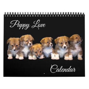 Calendário de Amor de Cachorrinho