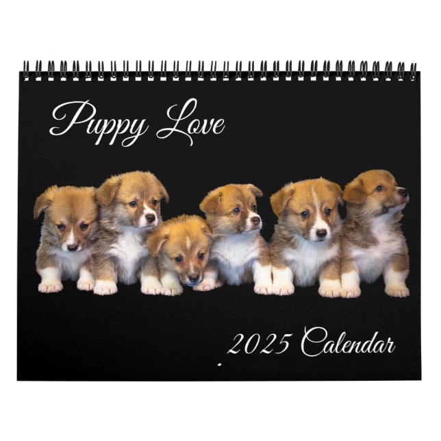 Calendário de Amor de Puppy (Capa)