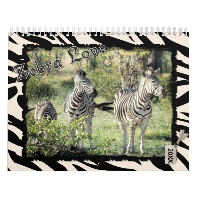 Calendário de Amor de Zebra 2021 (Capa)