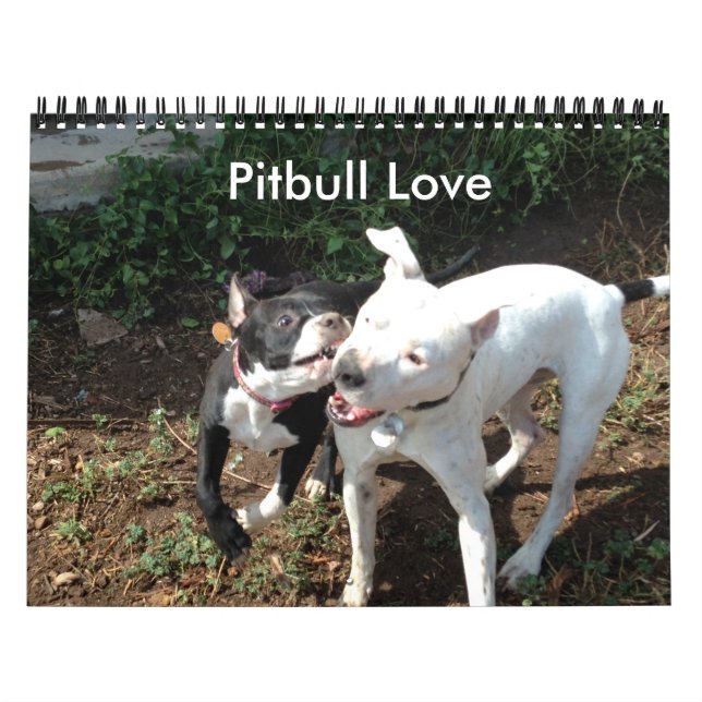 Calendário de Amor Pitbull (Capa)