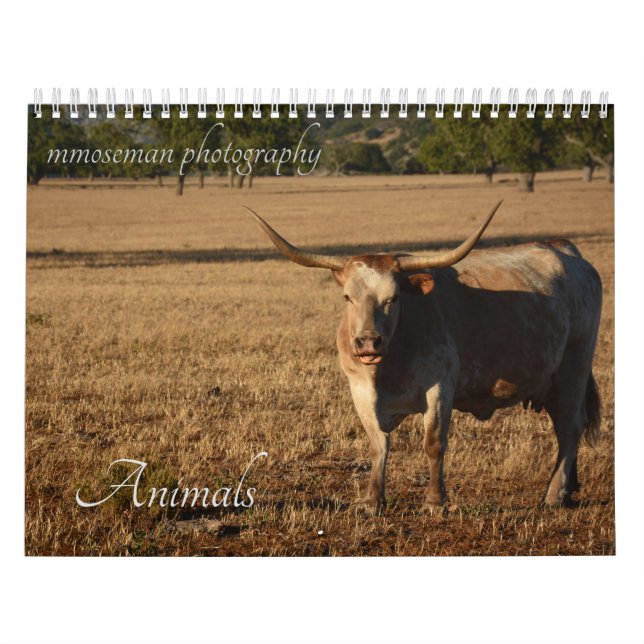 Calendário de Animais (Capa)