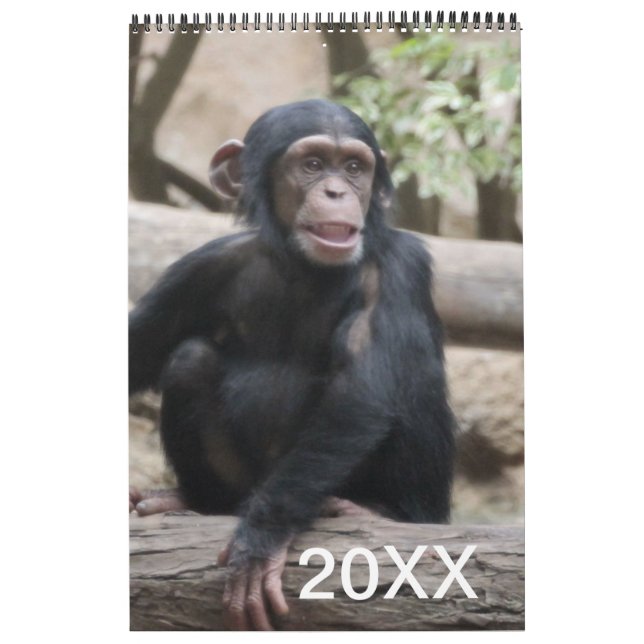 Calendário de Animais 20XX (Capa)