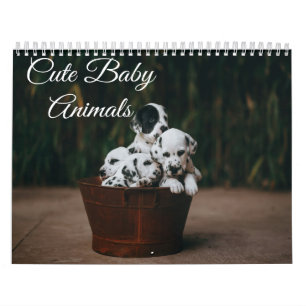 Calendário de Animais Bebês Fofos