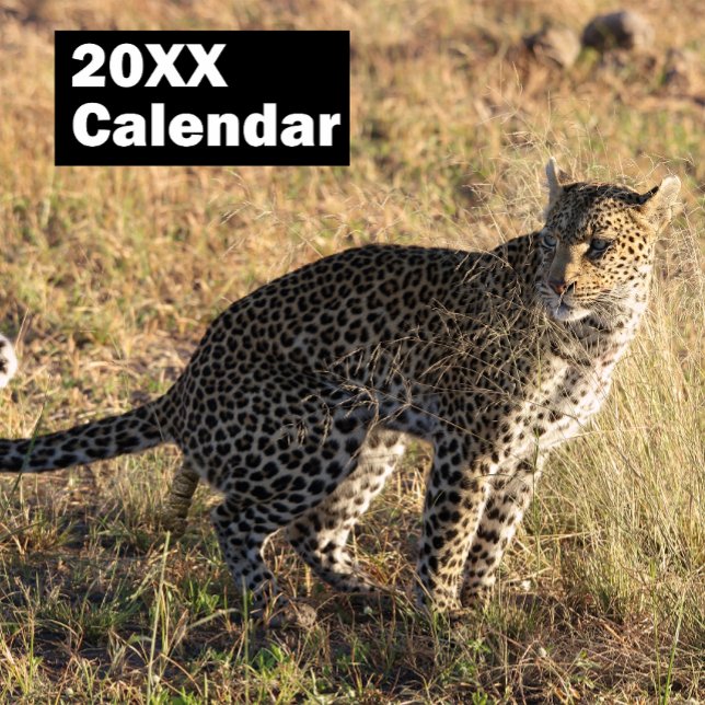Calendário de Animais de Pooping Personalizados 20 (Criador carregado)