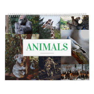 Calendário de Animais do Calendário de Parede Domé