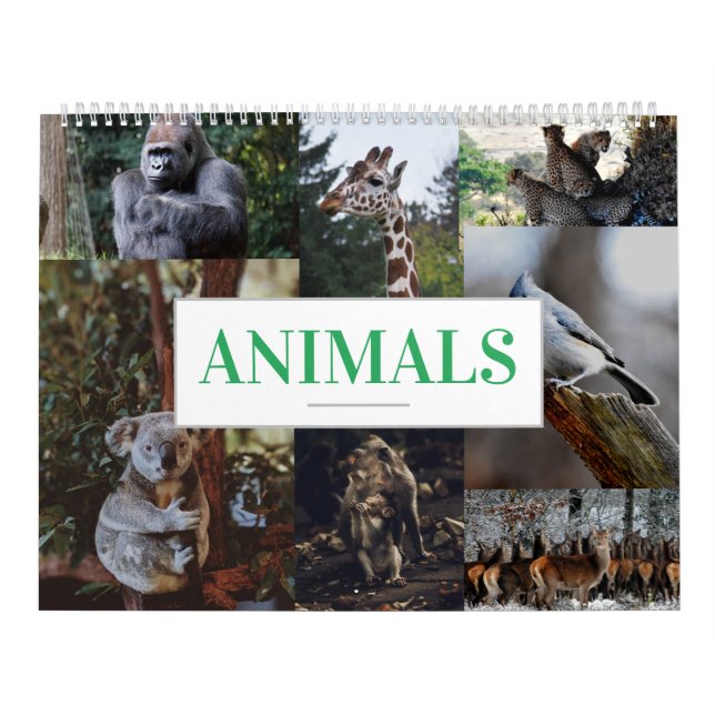 Calendário de Animais do Calendário de Parede Domé (Capa)