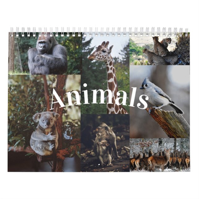 Calendário de Animais do Calendário de Parede Domé (Capa)