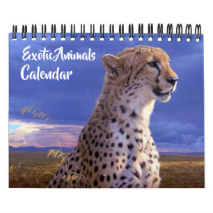 Calendário de Animais Exóticos de Pequeno Porte