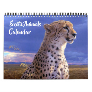 Calendário de Animais Exóticos de Tamanho Médio