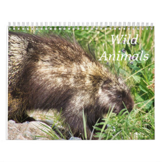 Calendário de Animais Selvagens