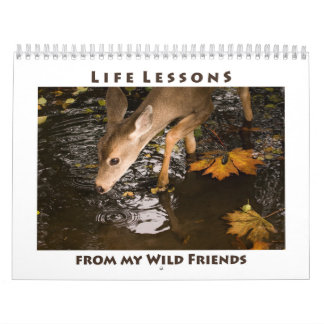 Calendário de Animais Selvagens Inspiracionais