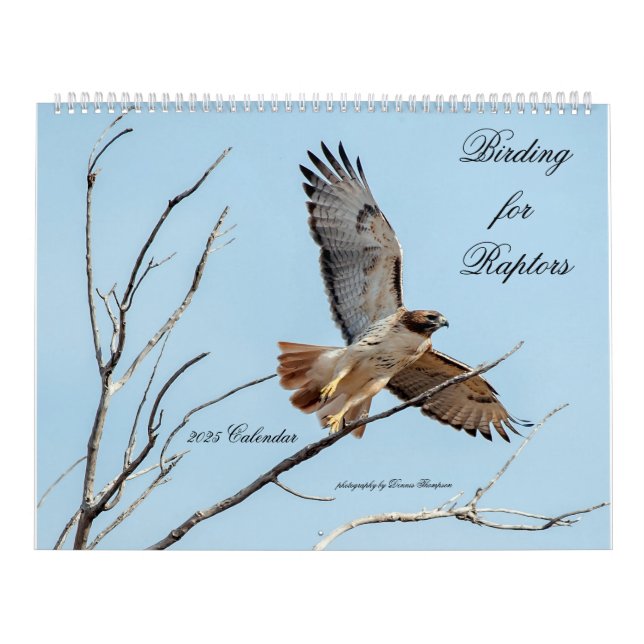 Calendário de Aniversário de Raptores 2025 (Capa)