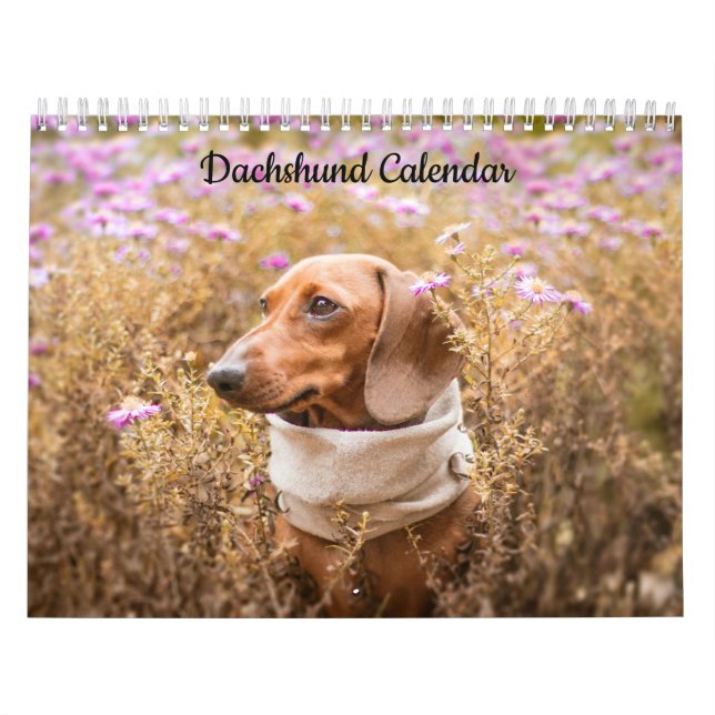Calendário de Ano Personalizado do Dachshund (Capa)