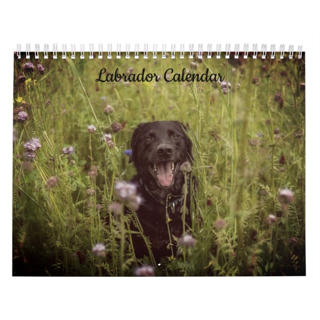 Calendário de Ano Personalizado do Labrador (Capa)