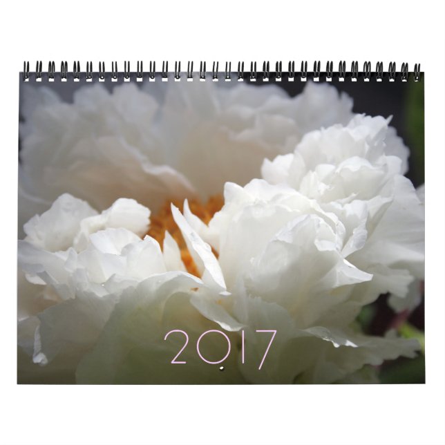Calendário de Ano Personalizável da Penalidade de  (Capa)