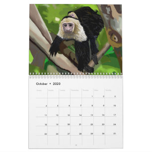 Calendário de aquarelas por Island Art Bocas