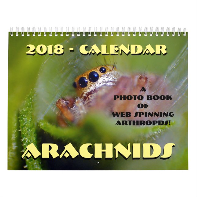 Calendário de Arachnids (Capa)