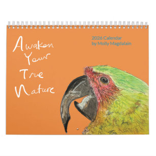 Calendário de Arte Animal 2026 por Molly Magdalain