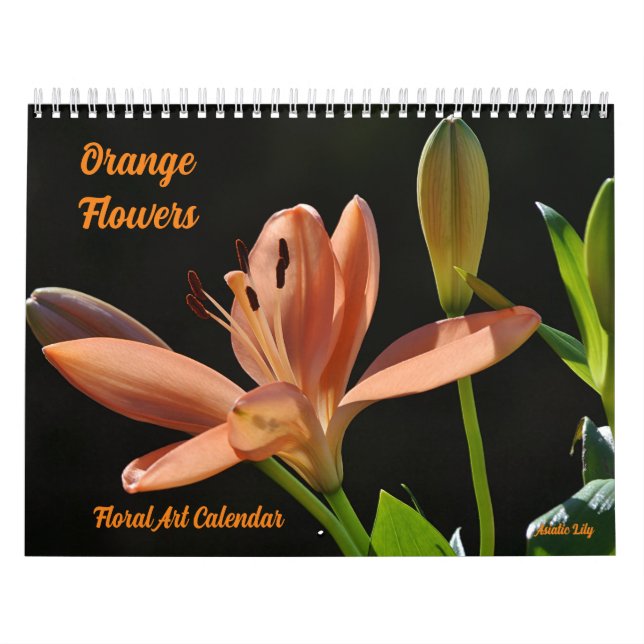 Calendário de Arte Floral de Flores Laranjas Bonit (Capa)
