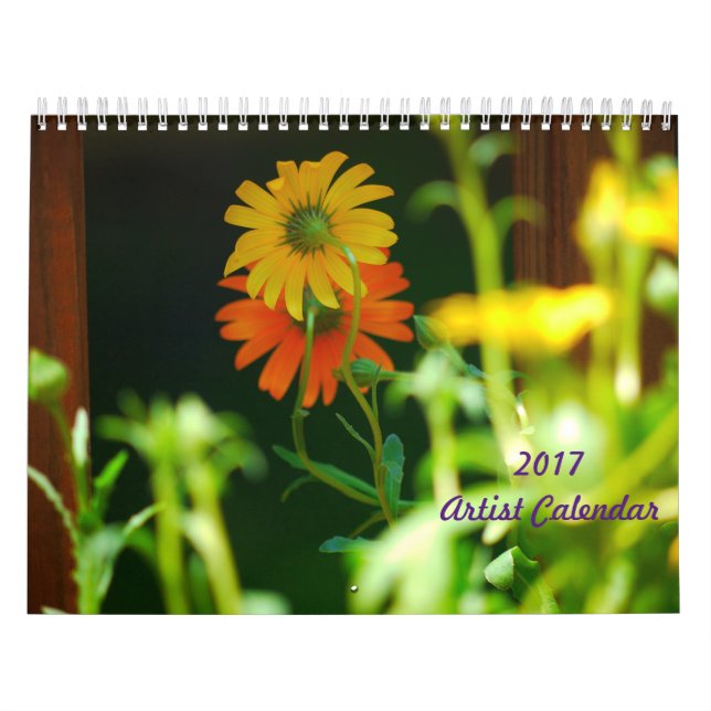 Calendário de Artista 2017 (Capa)