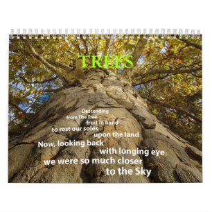 Calendário de Árvores