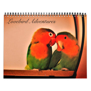 Calendário de Aventuras do Lovebird