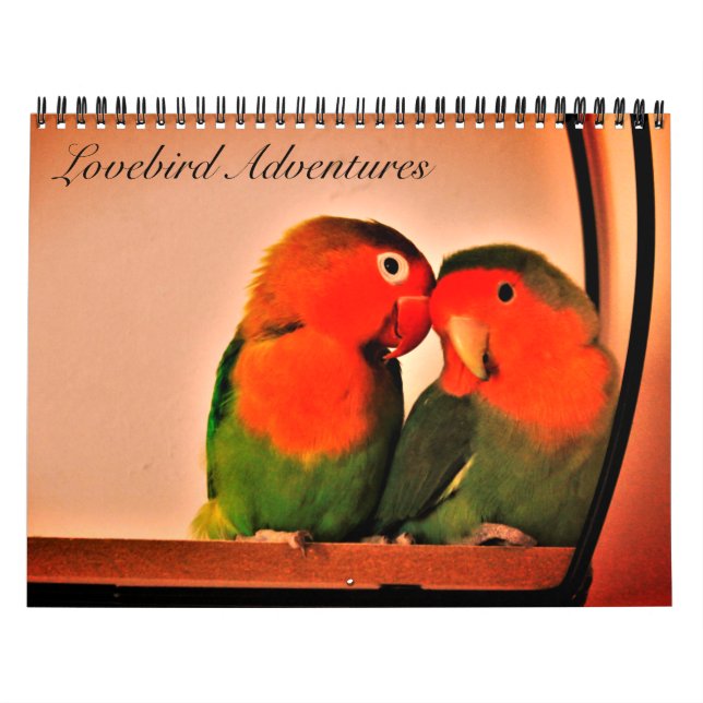 Calendário de Aventuras do Lovebird (Capa)
