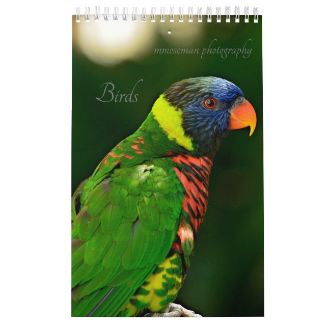 Calendário de Aves (Capa)
