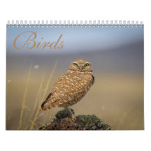 Calendário de Aves