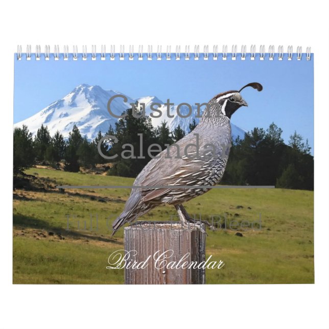 CALENDÁRIO DE AVES (Capa)