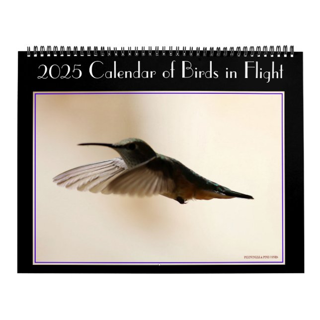 Calendário de Aves 2020 em Voo (Capa)