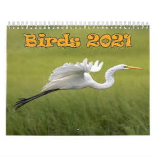 Calendário de Aves 2021
