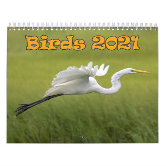 Calendário de Aves 2021