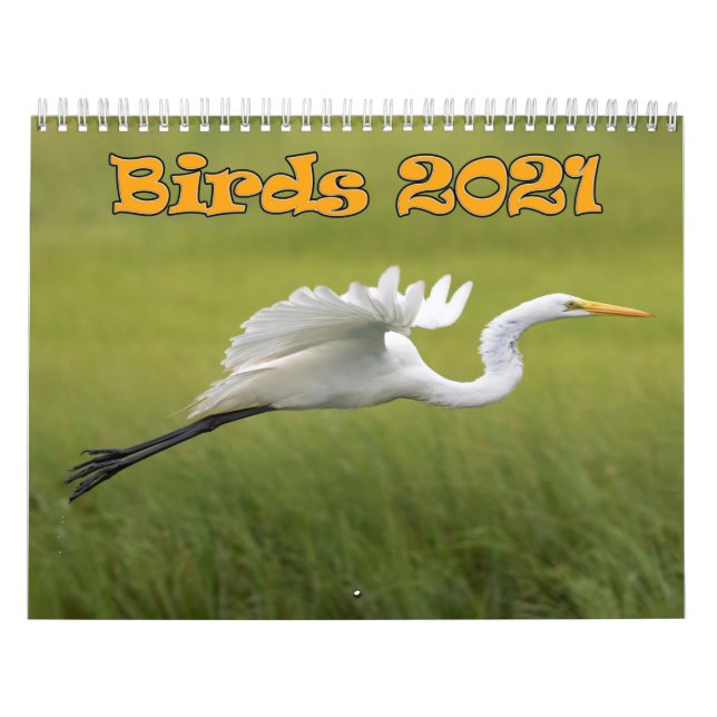 Calendário de Aves 2021 (Capa)
